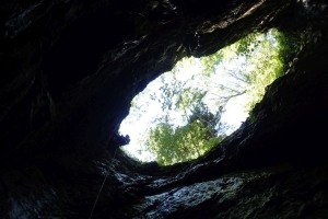 P6210235